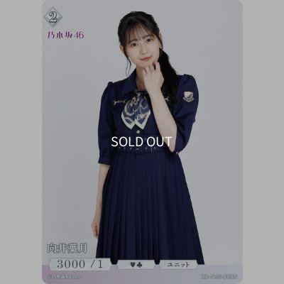 画像1: 向井葉月