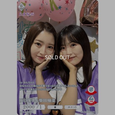 画像1: 阪口珠美＆柴田柚菜