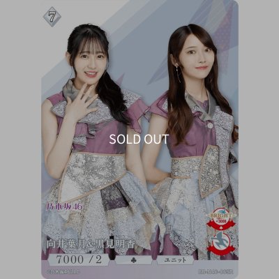 画像1: 向井葉月＆黒見明香