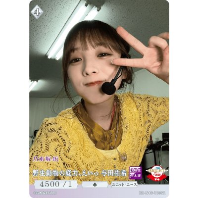 画像1: 野生動物の底力、えいっ与田祐希