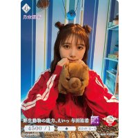 野生動物の底力、えいっ与田祐希