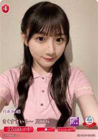 さくすまいるー川崎桜